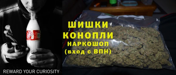 МДПВ Гусев