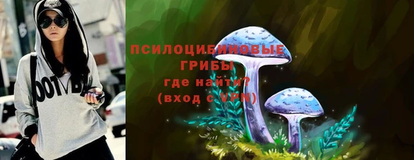 мяу мяу мука Гусь-Хрустальный