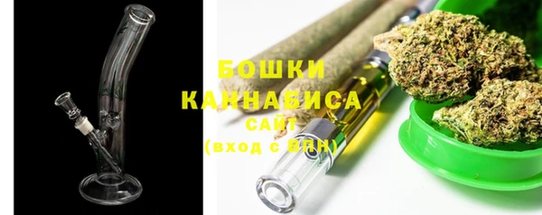 МДПВ Гусев