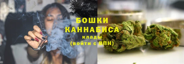 мяу мяу мука Гусь-Хрустальный