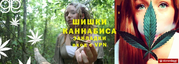 мяу мяу мука Гусь-Хрустальный