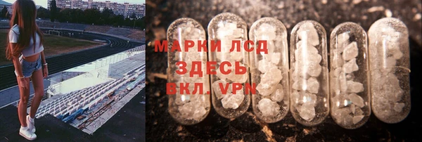 мяу мяу мука Гусь-Хрустальный