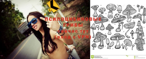 мдма Дмитриев