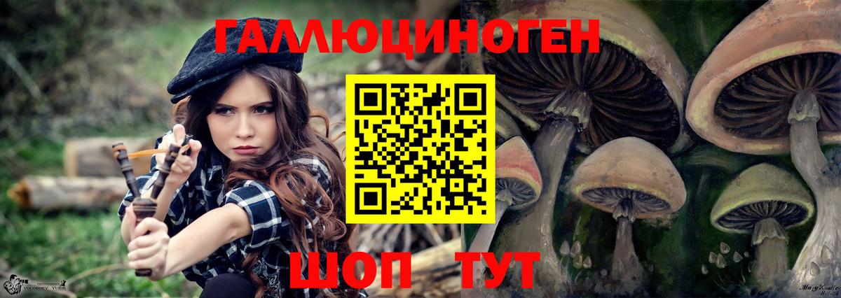 Псилоцибиновые грибы Cubensis  даркнет сайт  Острогожск 