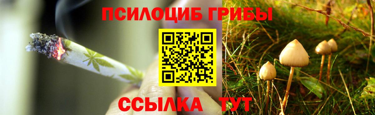 Галлюциногенные грибы мицелий Острогожск