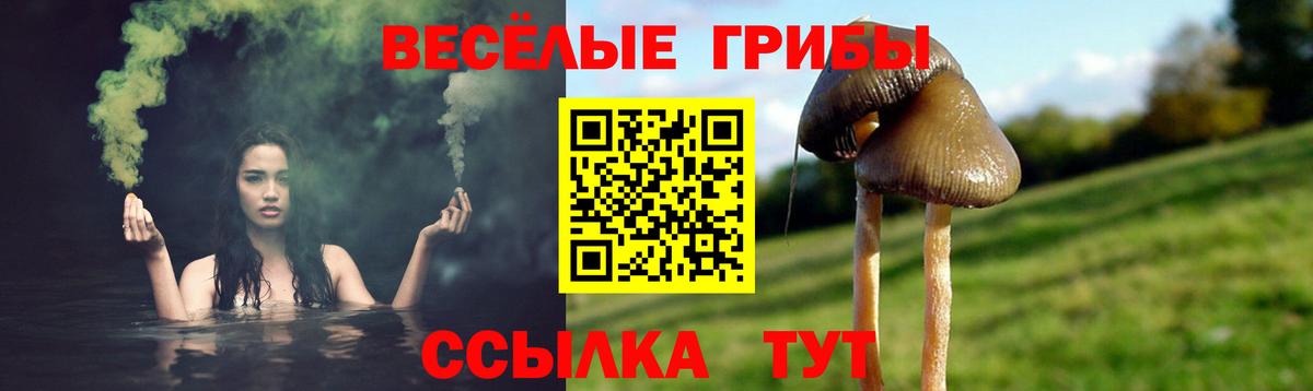 Псилоцибиновые грибы прущие грибы  Вход с VPN  Острогожск 